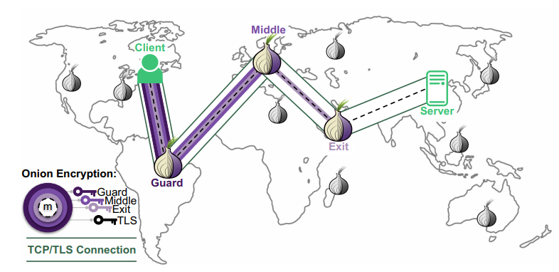 How to host a website on the Tor network